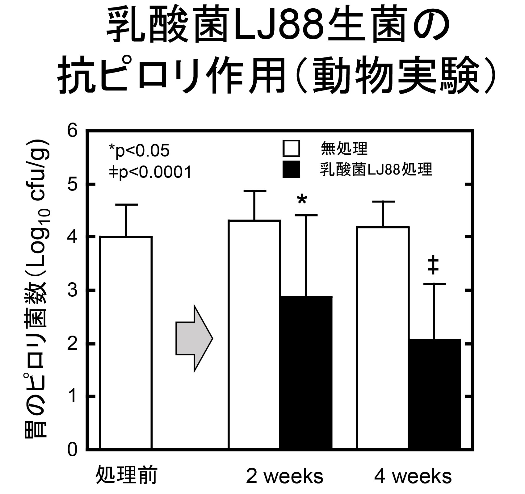 乳酸菌LJ88生菌の抗ピロリ作用（動物実験）
